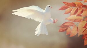 captions for birds flying