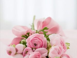 Flower Potting Captions for Instagram With Quotes