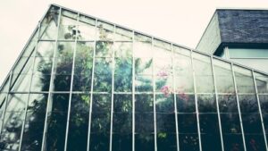 Greenhouse Captions for Instagram With Quotes