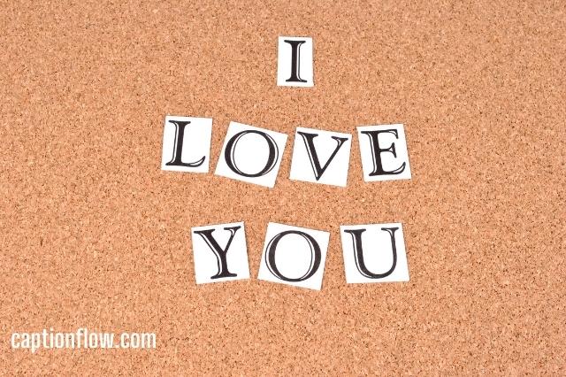 I Love You to the Moon and Back Caption