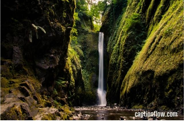 Instagram Captions for Oneonta Gorge Fall
