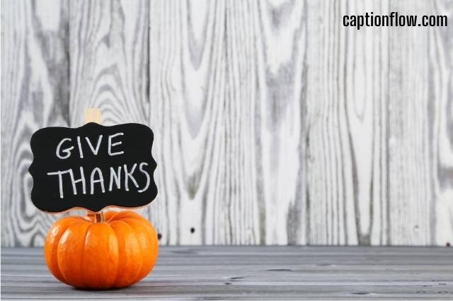 Thanksgiving Posts Captions for Baby