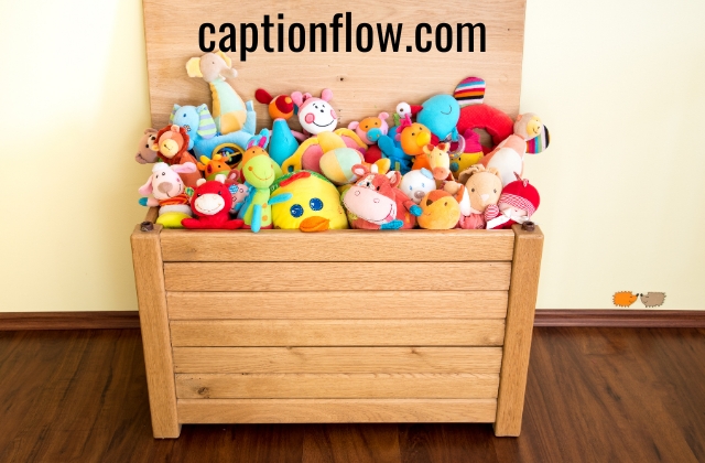Soft Toys Captions for Instagram